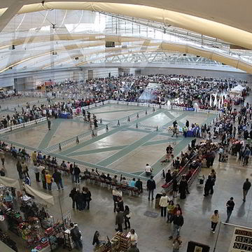 Dog Shows