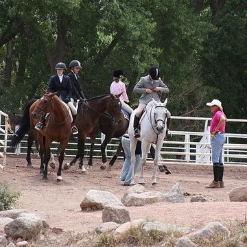 Horse Shows